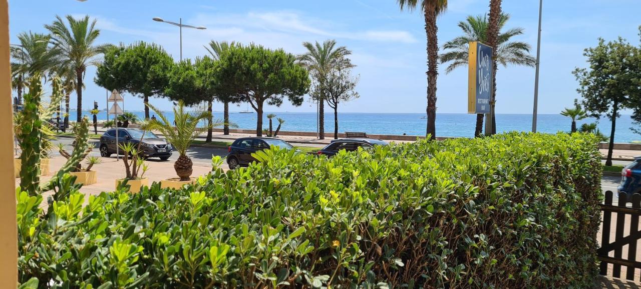 Studio De La Plage - Mer, Terrasse Et Garage Καν-συρ-Μερ Εξωτερικό φωτογραφία