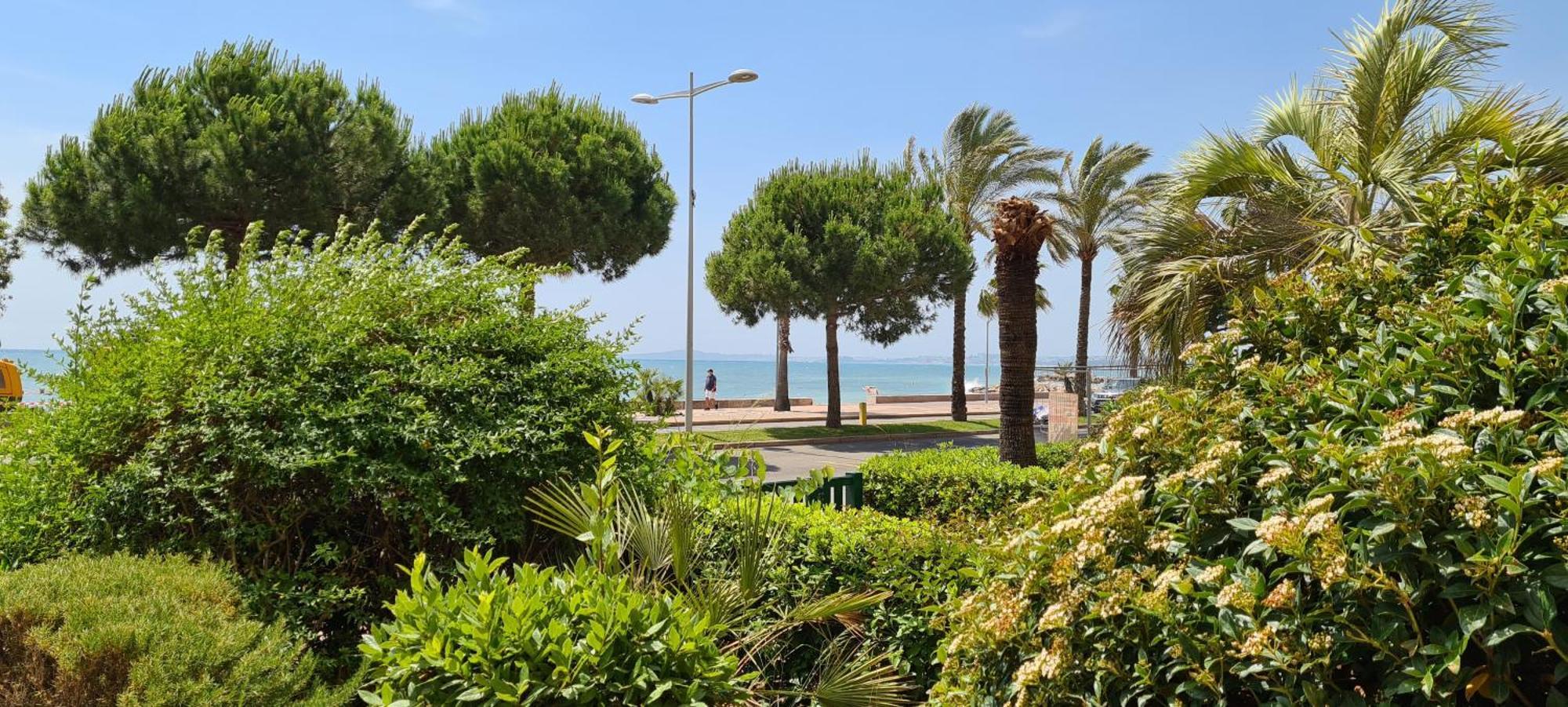 Studio De La Plage - Mer, Terrasse Et Garage Καν-συρ-Μερ Εξωτερικό φωτογραφία