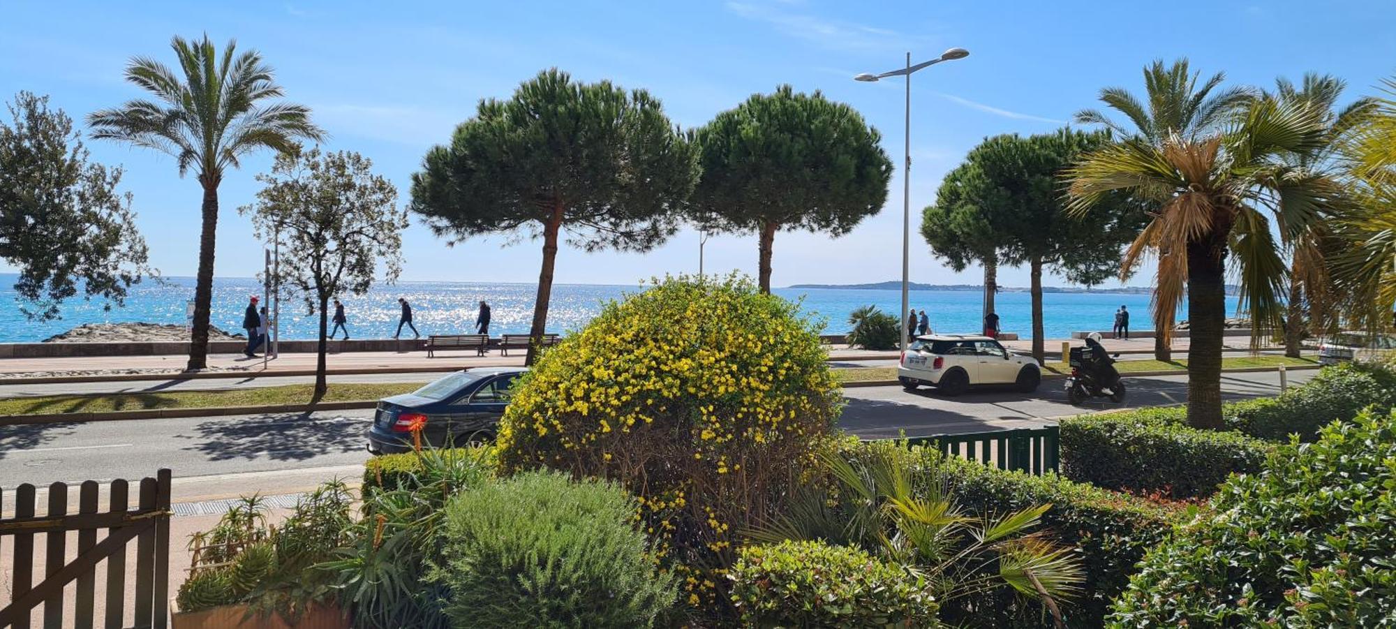 Studio De La Plage - Mer, Terrasse Et Garage Καν-συρ-Μερ Εξωτερικό φωτογραφία